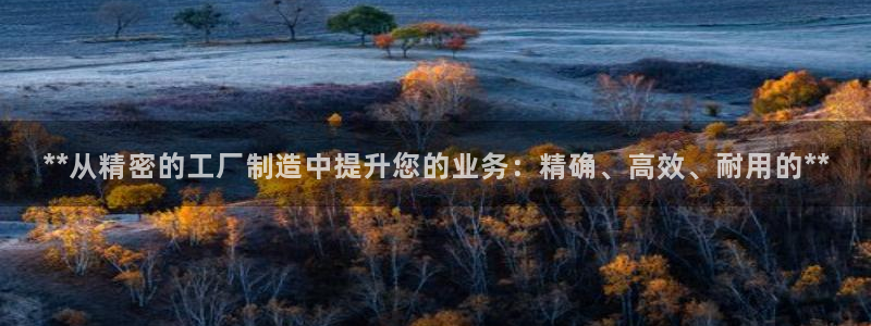 彩神v8是真的挣钱吗安全吗：**从精密的工厂制造中提升您的业务：精确、高效、耐用的**