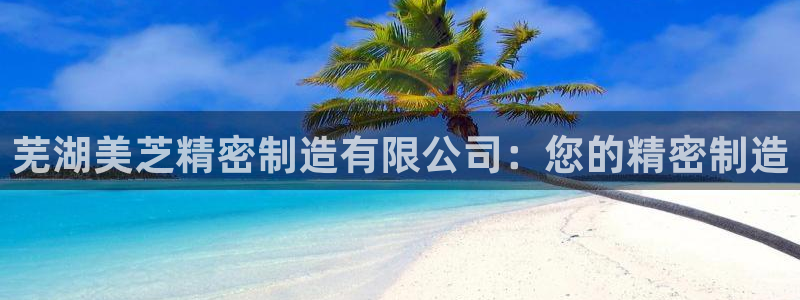 彩神V8平台：芜湖美芝精密制造有限公司：您的精密制造