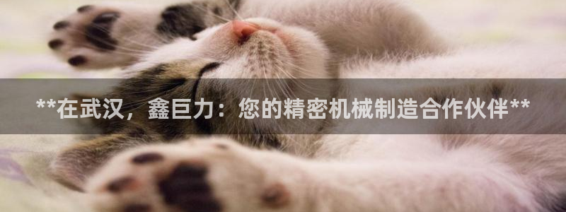 下载彩神乐发V：**在武汉，鑫巨力：您的精密机械制造合作伙伴**
