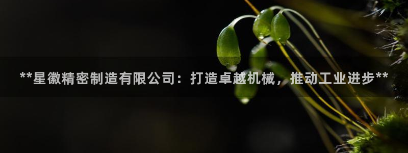彩神争霸官方登录：**星徽精密制造有限公司：打造卓越机械，推动工业进步**