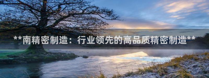 彩神大发云：**南精密制造：行业领先的高品质精密制造**