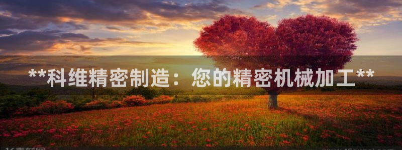 彩神大发是不是人为操作：**科维精密制造：您的精密机械加工**