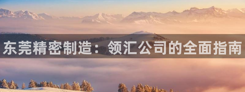 彩神v：东莞精密制造：领汇公司的全面指南