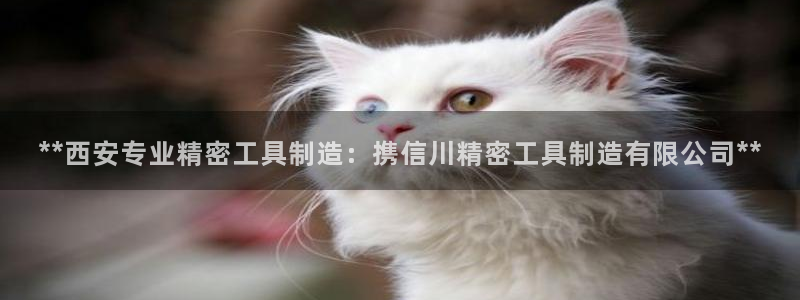 彩神v8是真的挣钱吗知乎