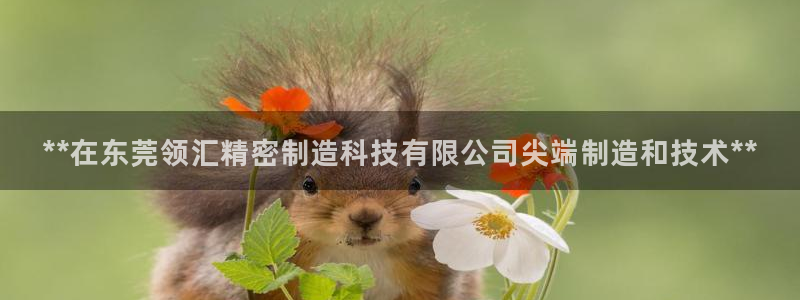彩神系列平台：**在东莞领汇精密制造科技有限公司尖端制造和技术**