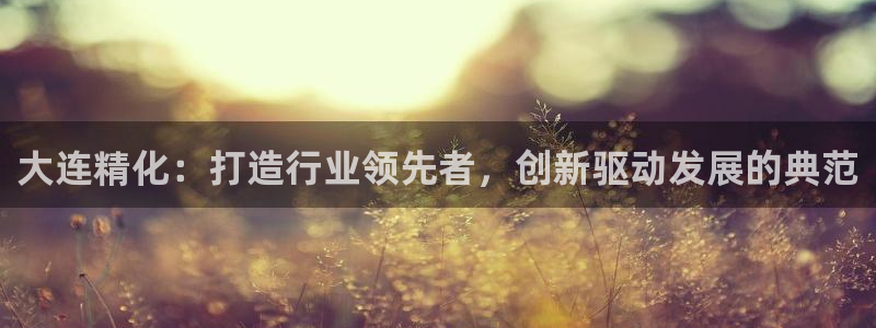 彩神vlll游戏特色：大连精化：打造行业领先者，创新驱动发展的典范