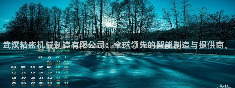 彩神vll首页企业文化：武汉精密机械制造有限公司：全球领先的智能制造与提供商。