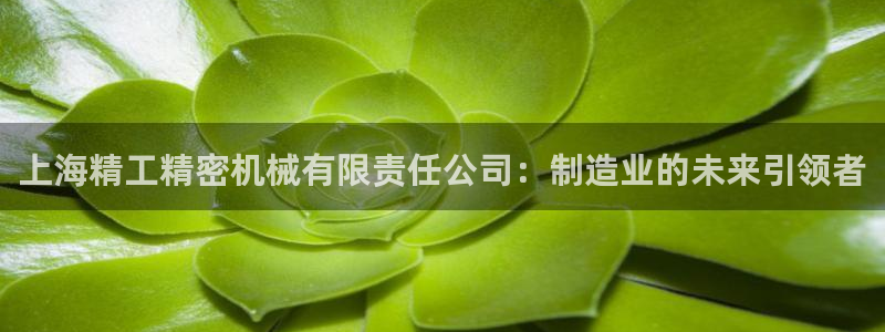 彩神盈利图片：上海精工精密机械有限责任公司：制造业的未来引领者
