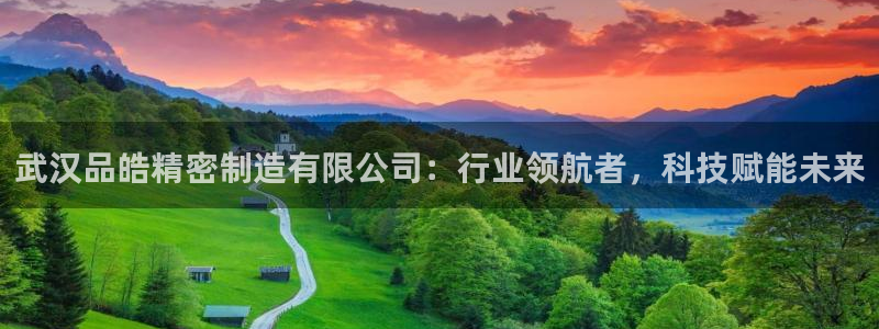 彩神ix平台：武汉品皓精密制造有限公司：行业领航者，科技赋能未来