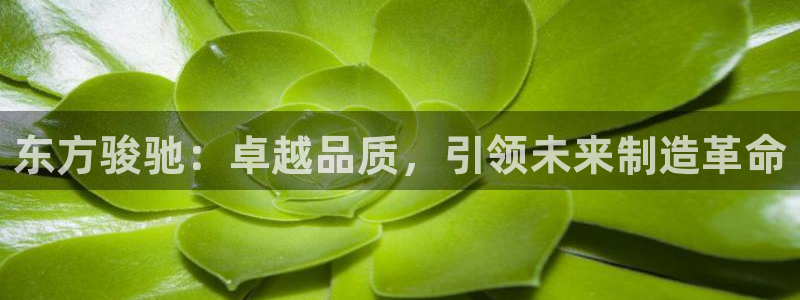下载彩神通关注码：东方骏驰：卓越品质，引领未来制造革命