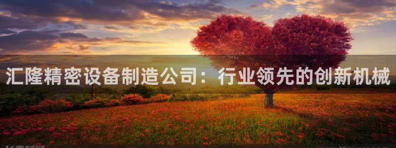 天天赢彩神：汇隆精密设备制造公司：行业领先的创新机械