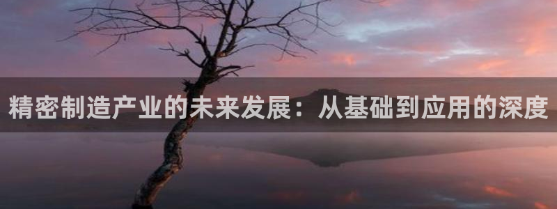 彩神争霸老平台：精密制造产业的未来发展：从基础到应用的深度
