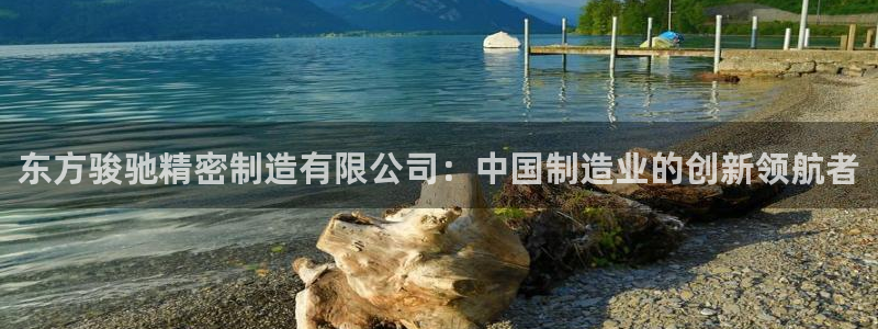 彩神旗下有哪些平台可以玩：东方骏驰精密制造有限公司：中国制造业的创新领航者