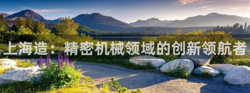彩神v8下载网址：上海造：精密机械领域的创新领航者