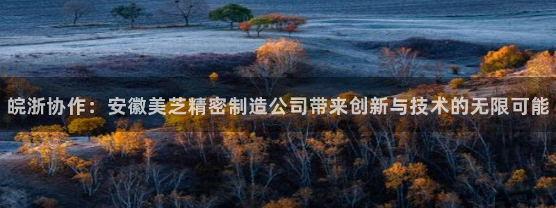 彩神ⅴll用户登录：皖浙协作：安徽美芝精密制造公司带来创新与技术的无限可能