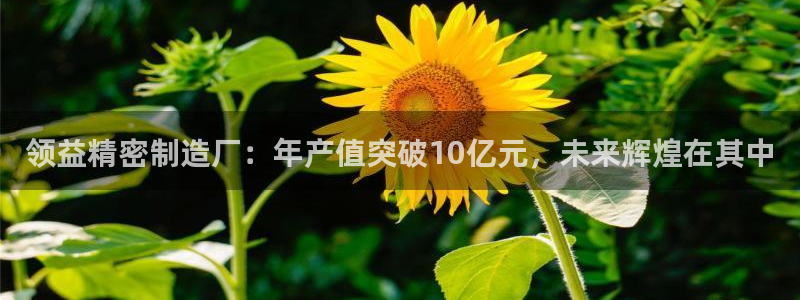 下载彩神v8：领益精密制造厂：年产值突破10亿元，未来辉煌在其中