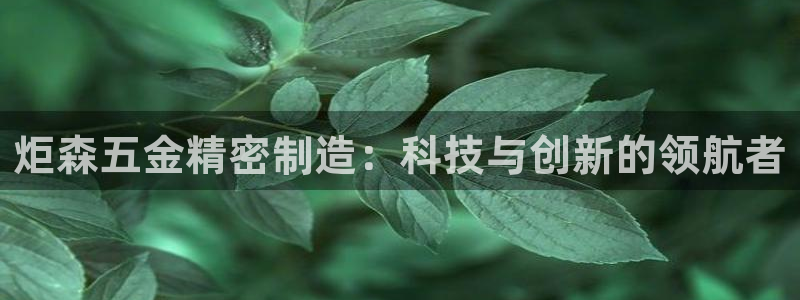 彩神Vll：炬森五金精密制造：科技与创新的领航者