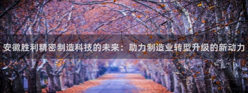 彩神viii官网：安徽胜利精密制造科技的未来：助力制造业转型升级的新动力