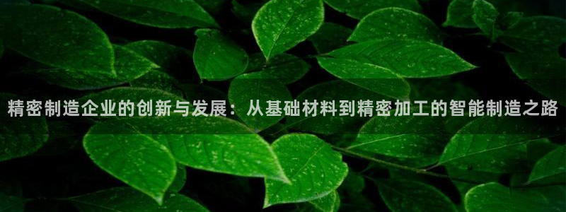 天天赢彩神：精密制造企业的创新与发展：从基础材料到精密加工的智能制造之路