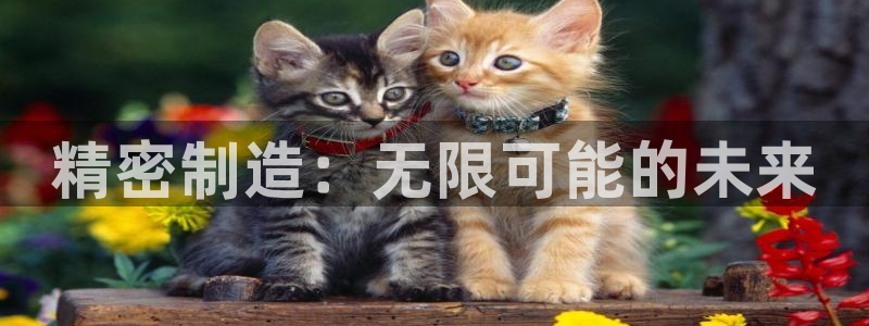 彩神争霸官方下载2017：精密制造：无限可能的未来