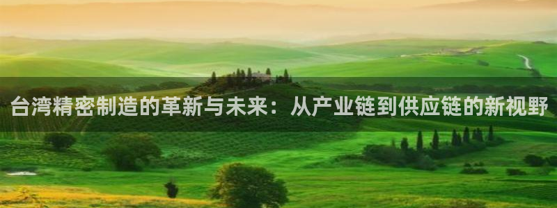 彩神平台是真的吗：台湾精密制造的革新与未来：从产业链到供应链的新视野