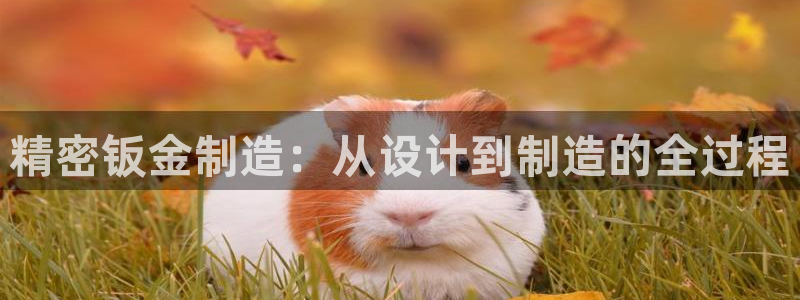 彩神ix官网：精密钣金制造：从设计到制造的全过程