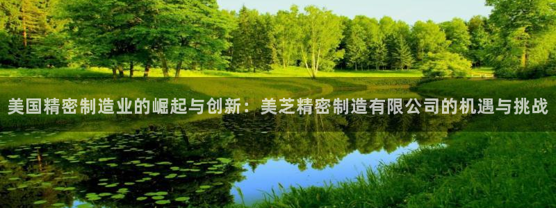 彩神V官网：美国精密制造业的崛起与创新：美芝精密制造有限公司的机遇与挑战