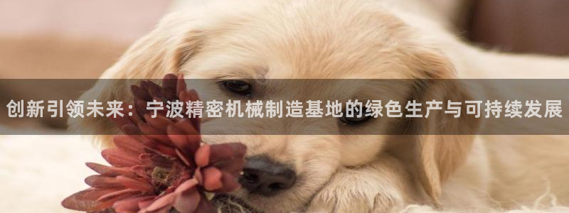 彩神vii官网：创新
