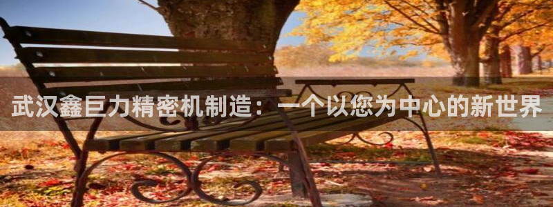 彩神ix平台：武汉鑫巨力精密机制造：一个以您为中心的新世界
