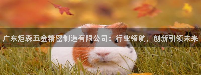 彩神V集团公司：广东炬森五金精密制造有限公司：行业领航，创新引领未来