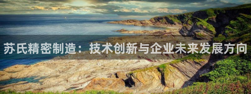 彩神v集团有限公司