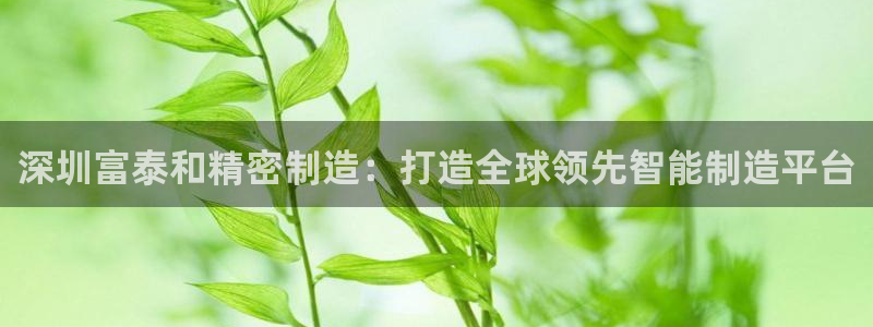彩神8是正规平台吗安全吗
