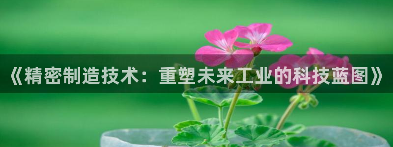 彩神v