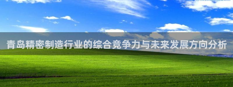 彩神8彩平台客服