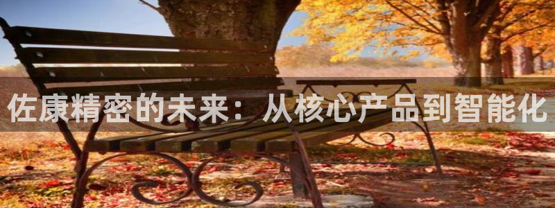 彩神到底能不能赚钱：佐康精密的未来：从核心产品到智能化