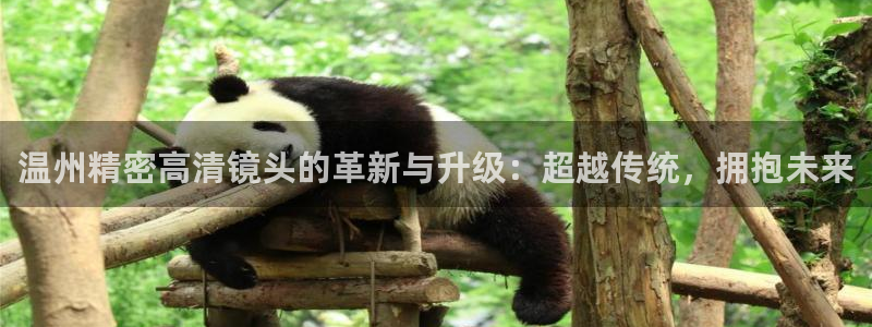 彩神v1破解器