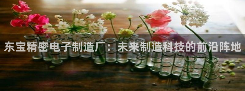 新版彩神v8登录教程