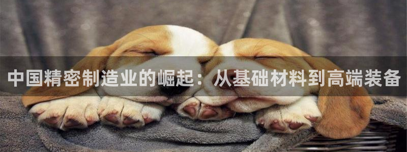 彩神vll购彩大厅大众