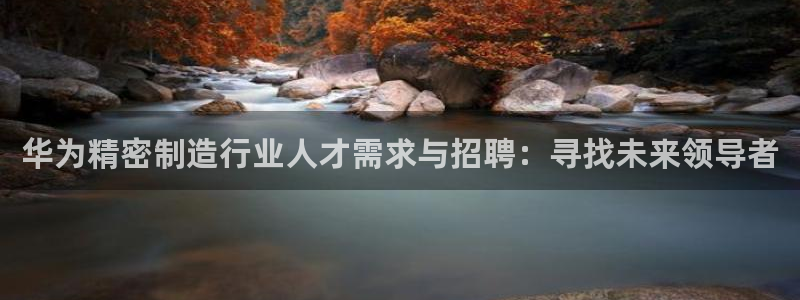 下载彩神乐发V