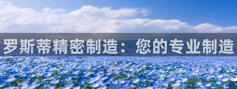 彩神8是正规平台吗知乎：罗斯蒂精密制造：您的专业制造