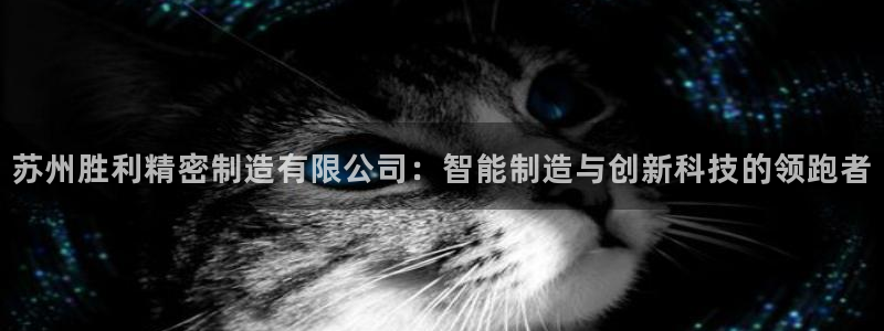 彩神vⅲ下载安装：苏