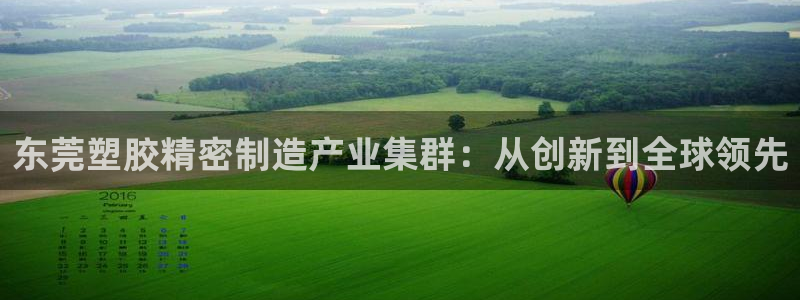 彩神盈利图片：东莞塑