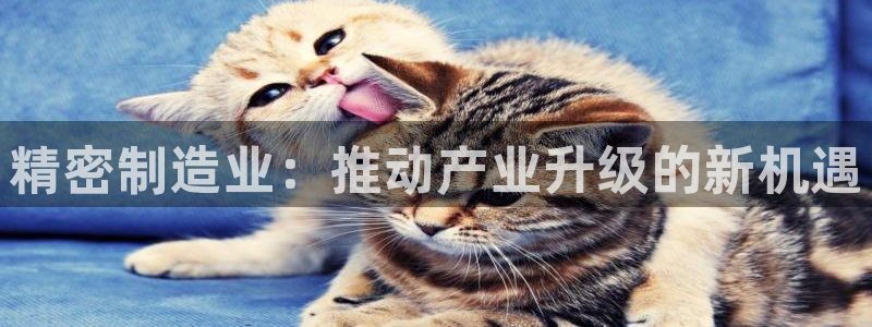 彩神v争霸是啥：精密制造业：推动产业升级的新机遇