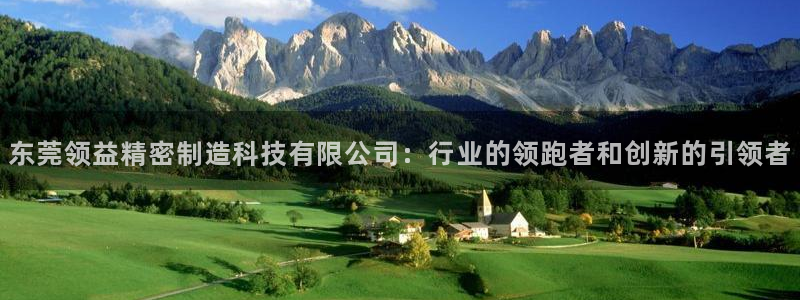 彩神vip官方网站：东莞领益精密制造科技有限公司：行业的领跑者和创新的引领者