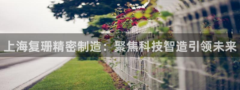 彩神大发cp：上海复珊精密制造：聚焦科技智造引领未来