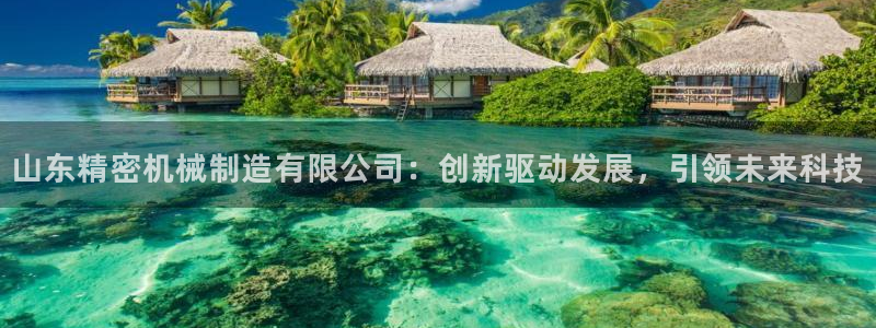 彩神Vll购彩大厅：山东精密机械制造有限公司：创新驱动发展，引领未来科技