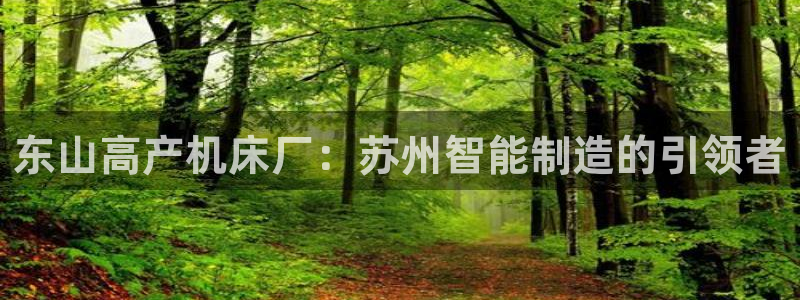 彩神app赚钱是真是假：东山高产机床厂：苏州智能制造的引领者