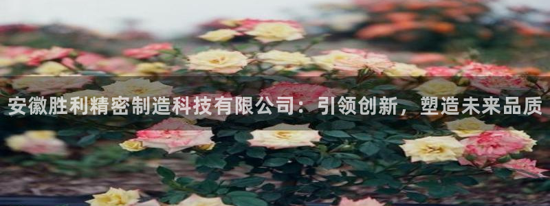 大发彩神争：安徽胜利精密制造科技有限公司：引领创新，塑造未来品质