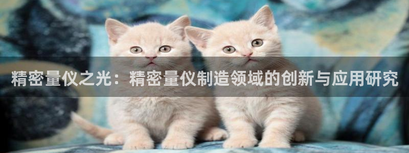 彩神v8下载：精密量仪之光：精密量仪制造领域的创新与应用研究