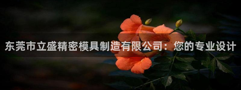 彩神vⅲ下载安装：东莞市立盛精密模具制造有限公司：您的专业设计